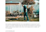 tailored lifestyle SEO content writing